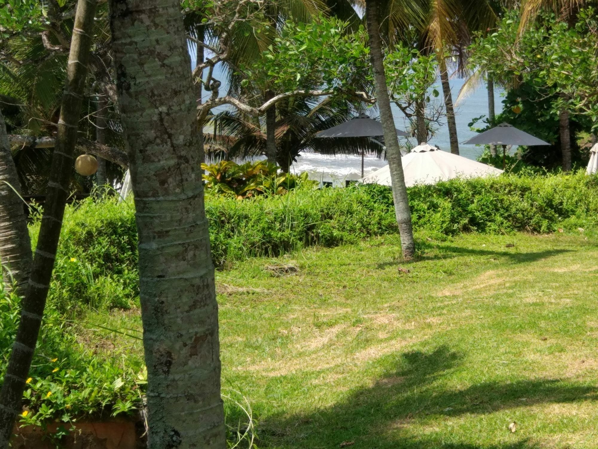 Gajah Mina Beach Resort Selemadeg  Екстериор снимка