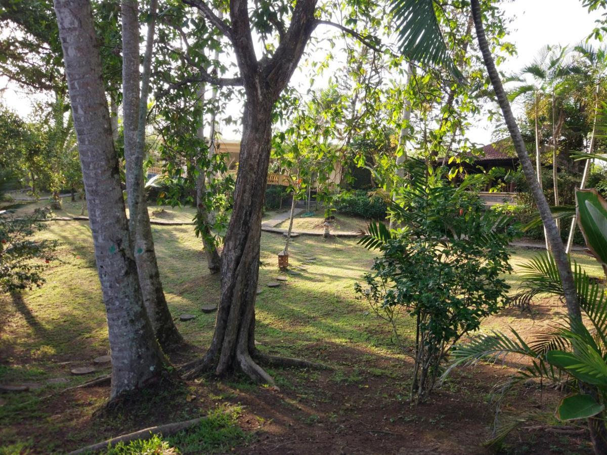 Gajah Mina Beach Resort Selemadeg  Екстериор снимка